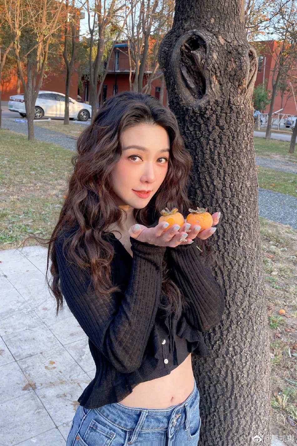 美官员称解决美伊冲突方能降低美油价 联邦与加州政府矛盾加剧