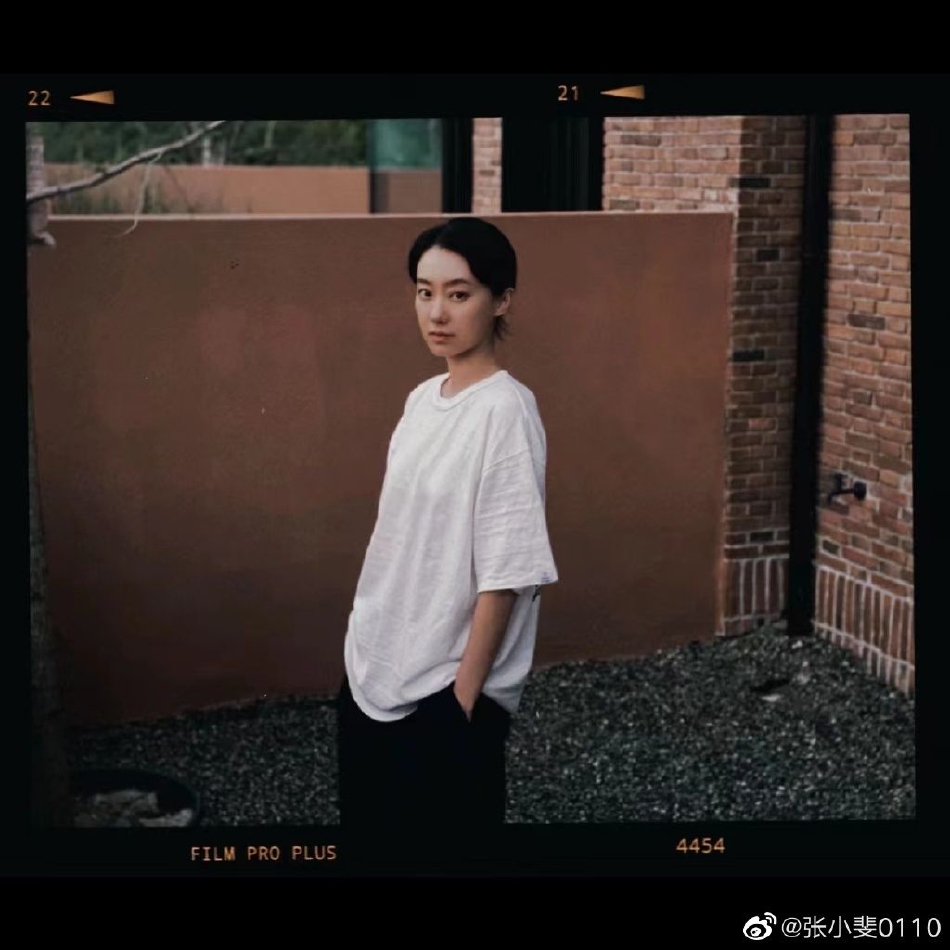 中国x站(中国x站的崛起与发展-社交与信息的融合创新)