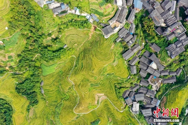 应对通胀风险 欧洲央行或将宣布加息25个基点