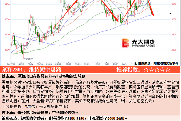 中央一号文件:不允许退休干部到农村占地建房