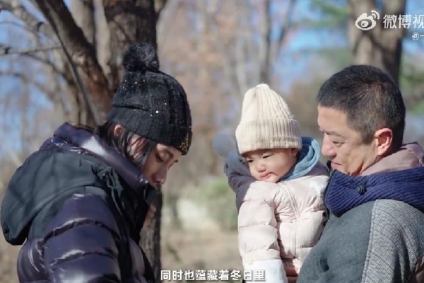 最后6分钟,“20cm”涨停!