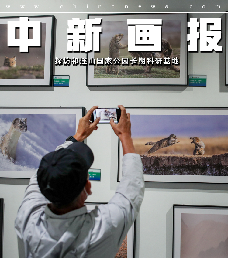 苹果重磅发布siri人工智能功能后股价下挫