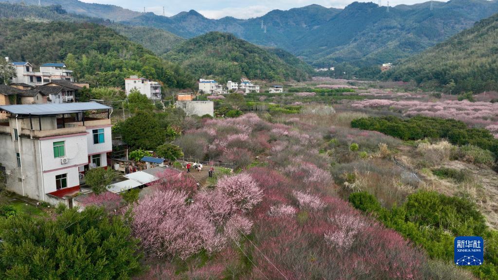 日本央行行长植田和男入院接受治疗