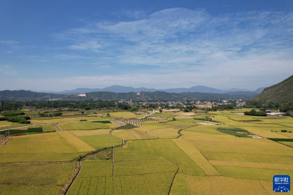 尾盘：美股涨跌不一 芯片股拖累纳指下跌1.3%