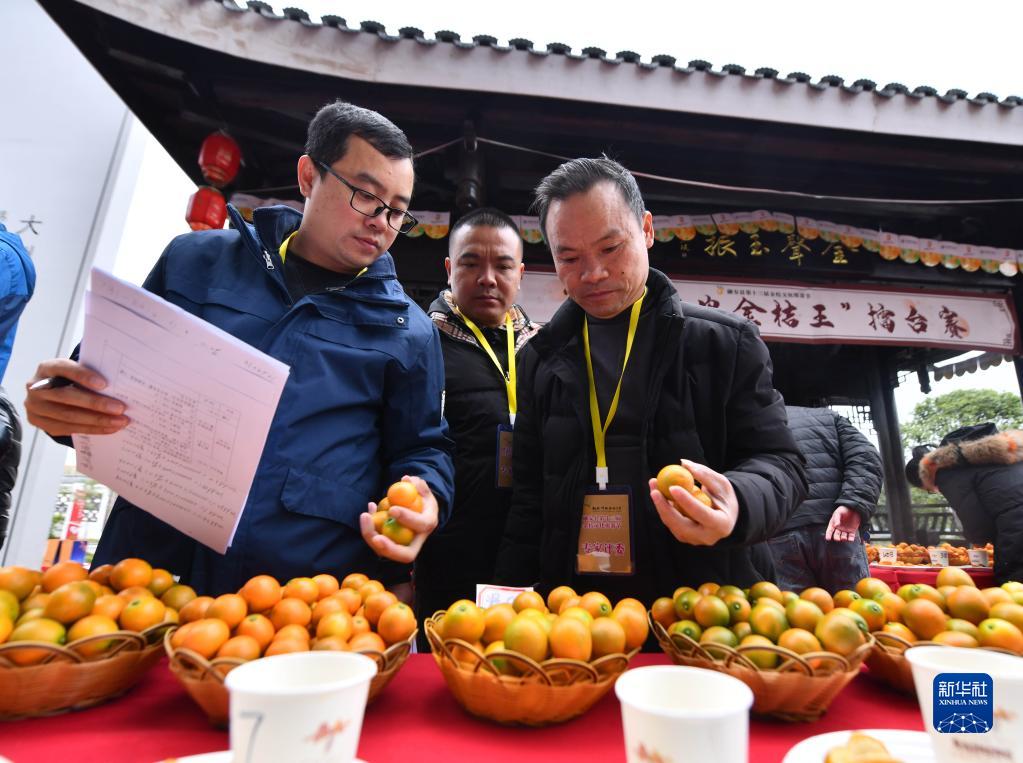 anthropic与openai冲刺 ipo:抢先上市未必代表表现更佳