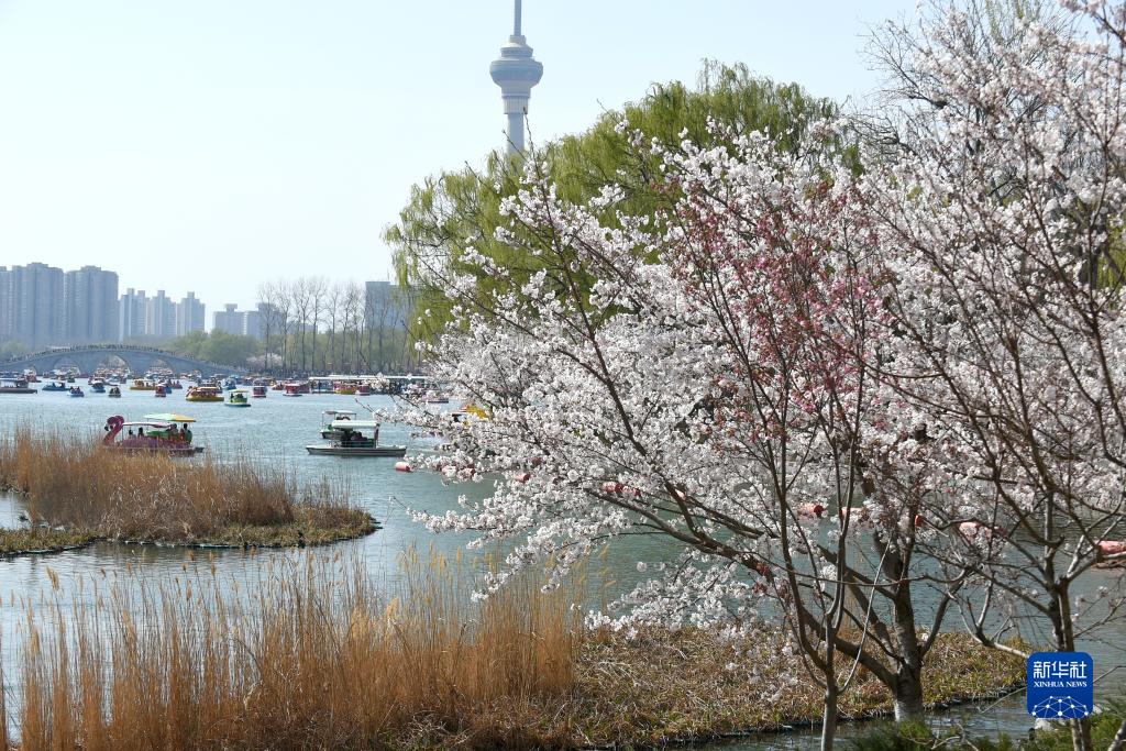 申万宏源研究春节见闻丨冰城新春行:冰雪经济与交通的融合