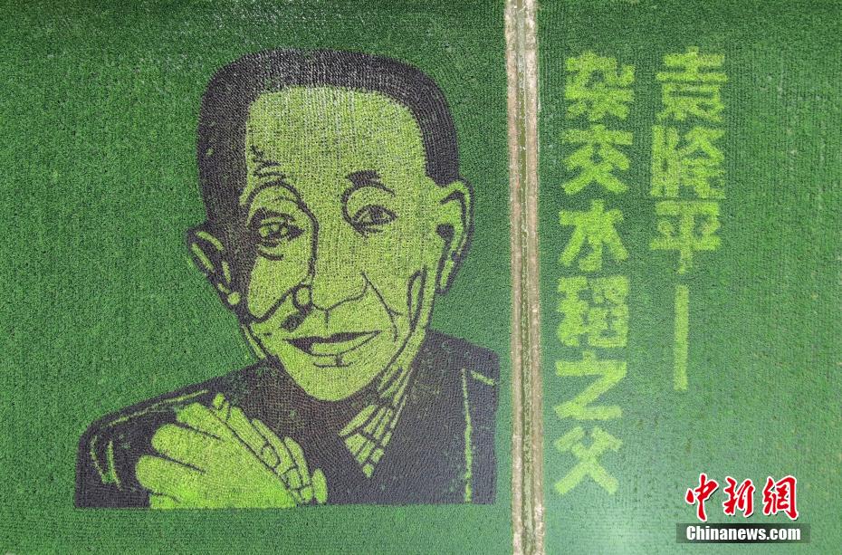 高盛警示ai涨势过热但尚未达泡沫极值